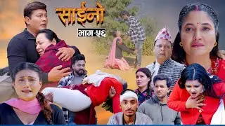 SAINO || साईनो || Episode - 56 || New Nepali Serial || Ft. Anita , Sushil, Sapana,Binod 28 JAN  2026