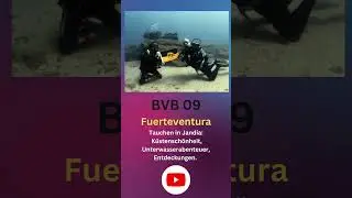 BVB 09 Unterwasser Fuerteventura