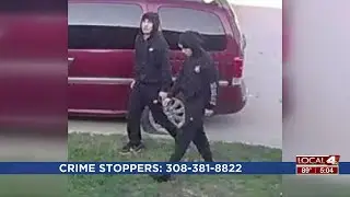 Grand Island vehicle theft suspects