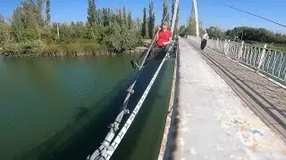 Fallen tree, cali, moto, bridge pull-ups