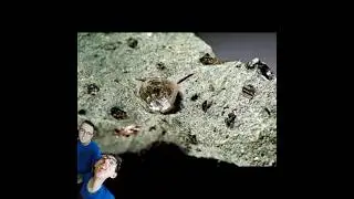 Scopri la straordinaria storia della formazione dei diamanti! 💎