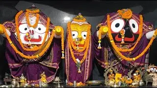 shree Sandhya Jagannath Darshan live