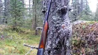 Kanalinnustusvideo syksyn 2013 ikimuistoisista hetkist&auml;