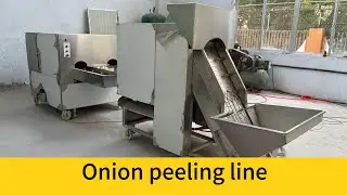 Onion peeling and root cutting machine