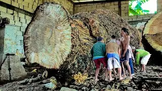 невостребованная древесина, опасная для жильцов!! распиленный древесноугольный материал I Sawmill