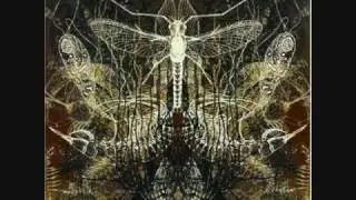 Architects-Ruin-I Can't See The Light