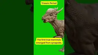 Pre Historic Time Period:  Triassic