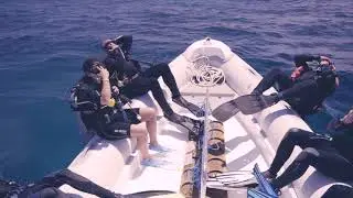 Marsa Alam Diving Experience with Blue Ocean, Red Sea, Egypt