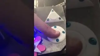 Simon the Magpie FOAM lo-fi force controlled delay pedal