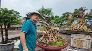 15 Năm trước cũng phải cả 100 triệu mà bây giờ thảm hại quá anh em ạ