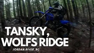 Tansky (Wolfs Ridge)