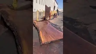 Elm Wood Slabs