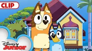 Bluey Season 3 Episode 18 