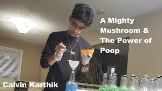 A Mighty Mushroom and The Power of Poop | Calvin Karthik YSC CWSF 1-Minute Video