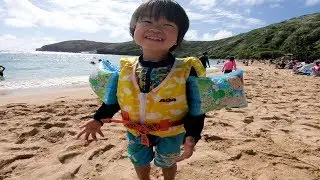 おでかけ ハワイ ハナウマ湾へ行ったよ！きれいな海で泳いで遊んだよ！ レオ★スマイル