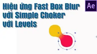 Hiệu ứng Fast Box Blur với Simple Choker với Levels trong after effects