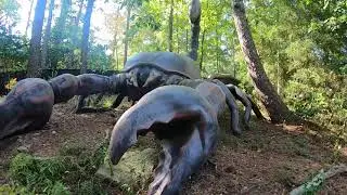 Big Bugs at Stone Mountain
