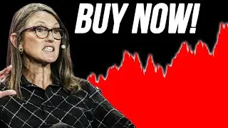 Cathie Wood Bet Big: 