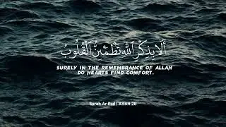 Beautiful & Soulful Quran Recitation | Best For Sleep | Abdul Rahman Mossad 💖