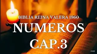 Biblia Hablada-BIBLIA REINA VALERA 1960-NUMEROS CAP.3
