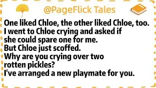One liked Chloe, the other liked Chloe, too.I went to Chloe crying and asked if she could spare one