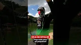 Dica de Pescaria pra Pegar muito Peixe na Superf&iacute;cie nos Pesqueiros  #pesca #peixe #pesqueiros