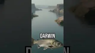 How fish learned to live in two worlds #Darwin #NatureAdaptation #Evolution