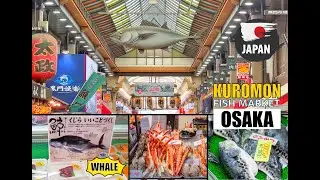 OSAKA FISH MARKET| WHALE MEAT|  & TUNA SASHIMI| BEST MARKET IN OSAKA