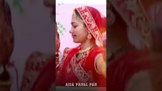 Bind kamal ka phool#marwadisong  song