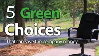 5 Ways to Stay Green in the Office | Everblue