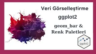 R- ggplot2- geom_bar & Renk Paletleri