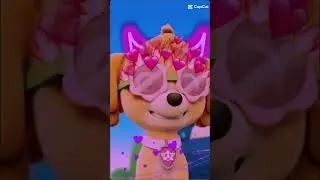 Skye edit💕🐶 mi legyen m&eacute;g?🌟 #shorts #pawpatrol #pawpatroledit #pawcute