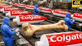 Inside the Largest Toothpaste Factory &mdash; From Animal Bones to Toothpaste (Full Process)