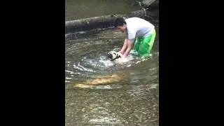 First swimming lesson