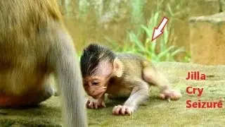 Kari Bites Jill Cry Hurt Very Loudly, Jilla Cry Seizure Fall Down The Stone