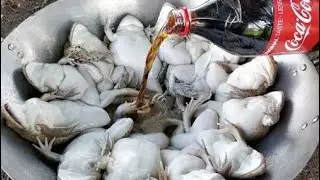 Eating Delicious - Tasty Fried Frogs Cooking Recipe - Yummy Frog Coca cola