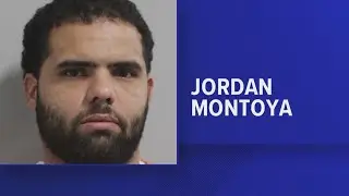 Accused swan theft arrested again
