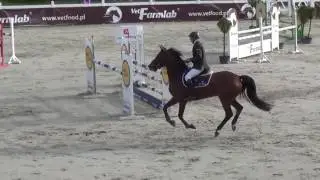 2011 KWPN mare Numero Uno/Heartbreaker 167cm