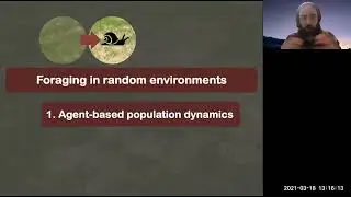 Evolution of innate behavioral strategies through competitive population dynamics