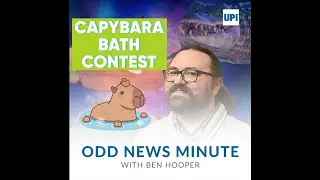 Capybara bathing contest, 2-year-old pool prodigy