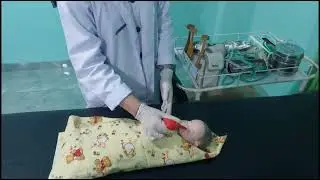 Perawarab Bayi Segera Setelah Lahir @akuharuna1740 