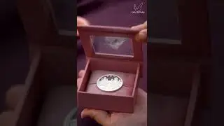 Kicky & Perky Silver Coins