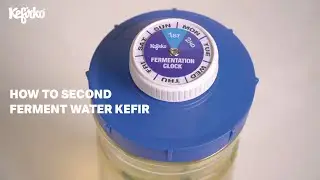 HOW TO SECOND FERMENT WATER KEFIR WITH KEFIRKO