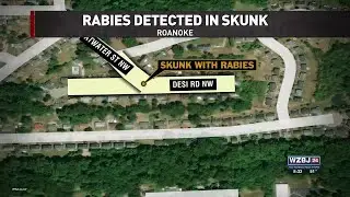 Roanoke skunk tests positive for rabies