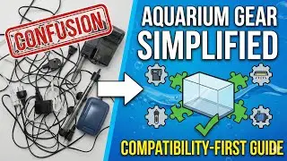 Aquarium Equipment Simplified: A Compatibility-First Guide to Gear