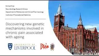 Discovering new genetic mechanisms associated with chronic pain