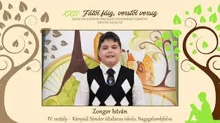 IV. oszt&aacute;ly - Zongor Istv&aacute;n