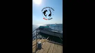 Infinity Diving Safari, Mangrove Bay