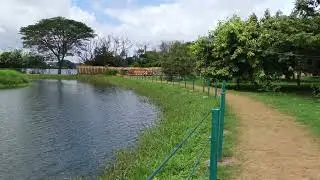 Small water body at #Lingambudhi #lake #mysuru #nature #naturelovers