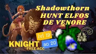 TIBIA - KNIGHT FREE ACC LVL 19 AO 20 HUNT ELFOS DE VENORE DROP Elvish Talisman (INTEN IMBU)